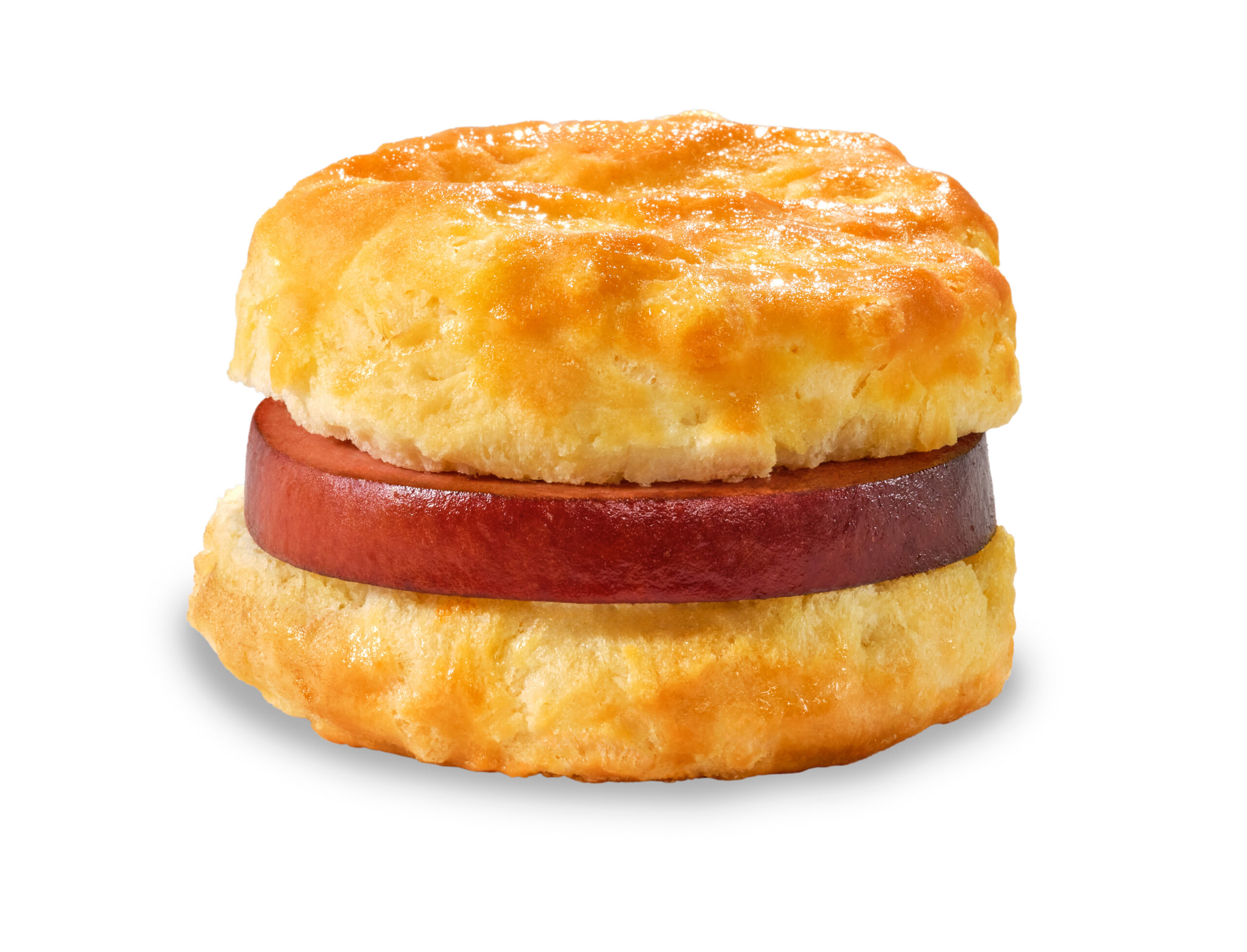Bologna Biscuit